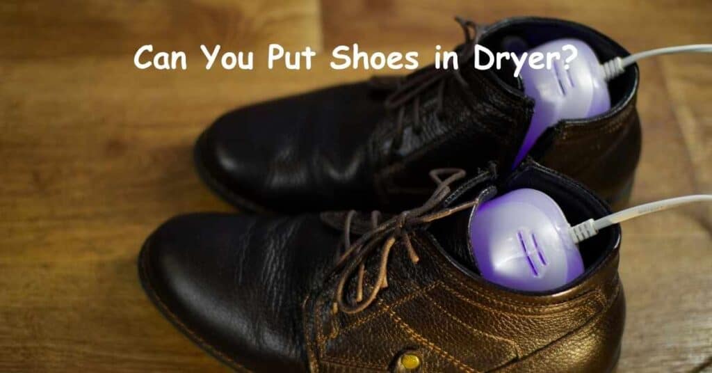 Can You Put Shoes in Dryer